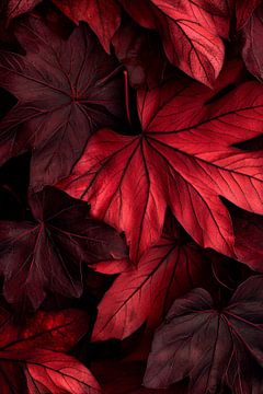 Rote Blätter im Detail – Naturmuster von Poster Art Shop