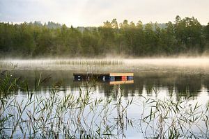 Schwimminsel in einem schwedischen See