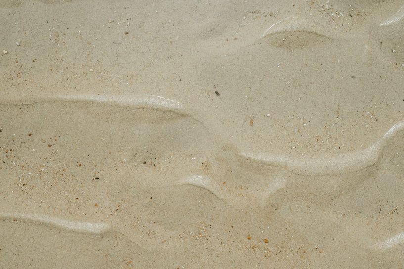 Wo Meer und Strand verschmelzen von Lieselot Engelen