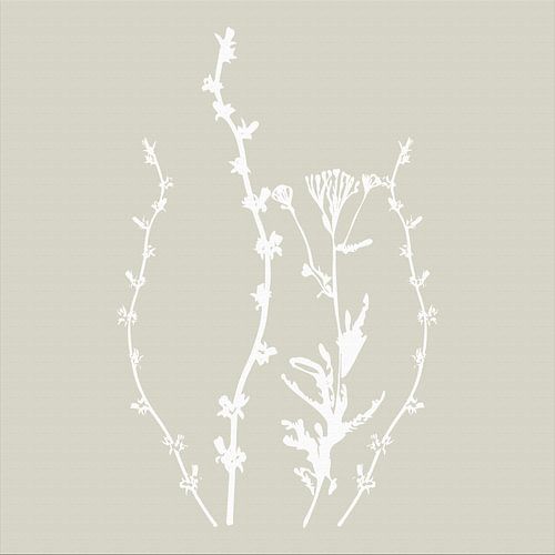 Botanica Delicata. Abstracte Retro Botanical in zacht grijs-beige