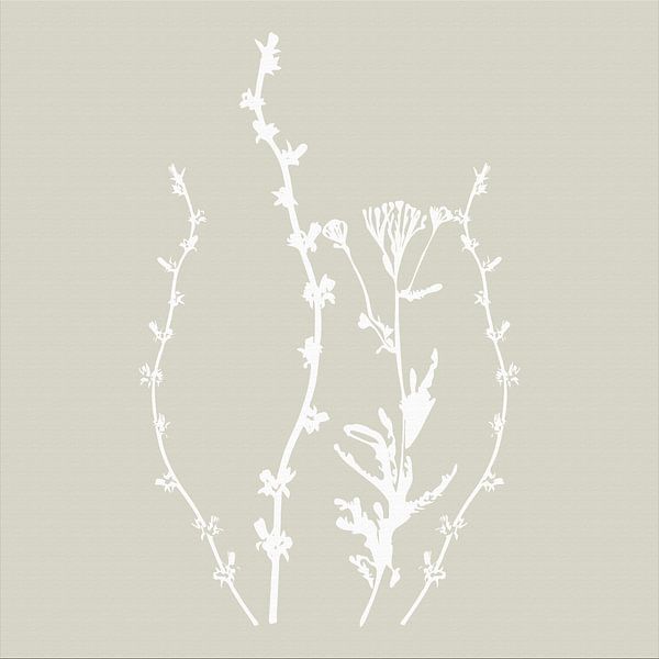 Botanica Delicata. Abstract Retro Botanical in soft grey beige by Dina Dankers