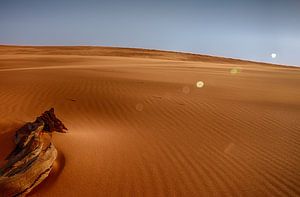 du bois dans le sable