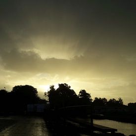 chris goedhart Profile picture