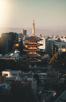 Asakusa Tempel in Tokyo von Endre Lommatzsch