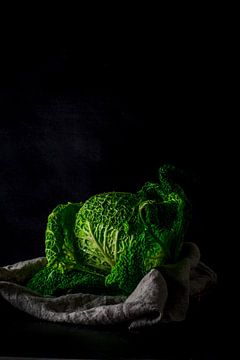 Green Cabbage by Daisy de Fretes