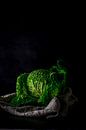 Green Cabbage by Daisy de Fretes thumbnail
