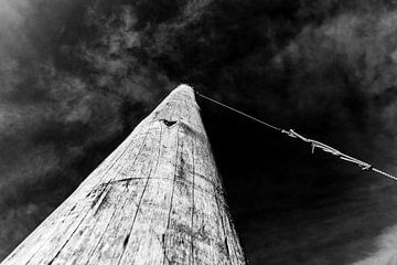 Wooden pole with rope by Wim Stolwerk
