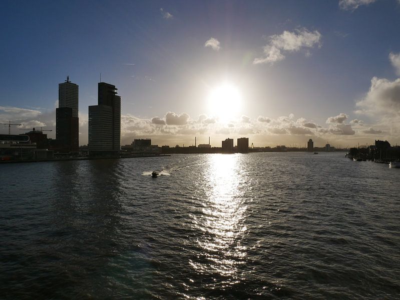 Haven Rotterdam van Sarith Havenaar