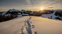 Winterochtend op de Wisstanne, Kanton Schwyz