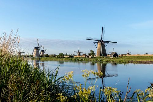 De windmolens in Kinderdijk