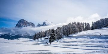 Seiser Alm - Langkofel und Plattkofel in Wolken