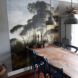 Customer photo: Italian landscape with umbrella pines, Hendrik Voogd, as wallpaper