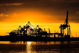 Waalhaven Zonsondergang by Peet de Rouw