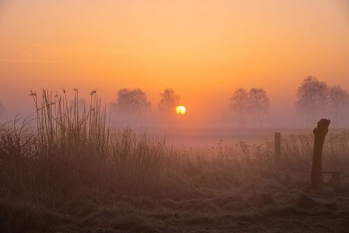Zauberhafter Sonnenaufgang im Nebel – Exklusive Naturfotografie für Ihr Zuhause