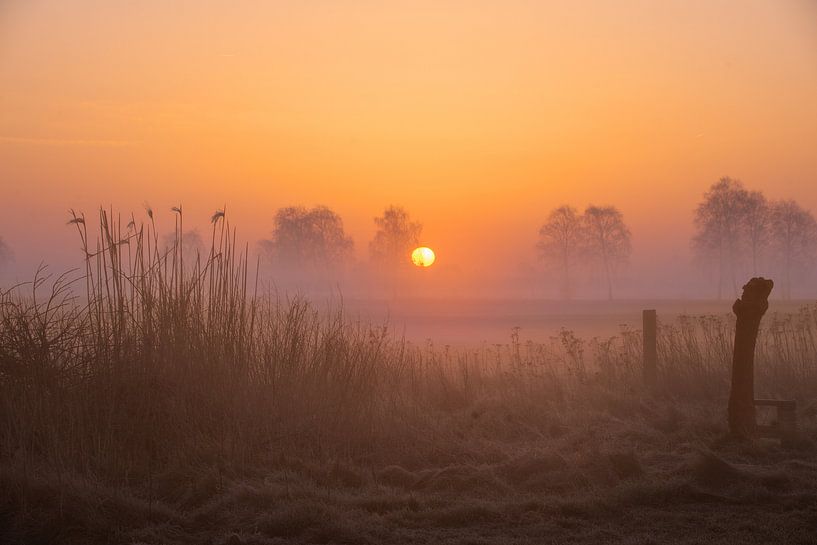 Enchanting sunrise in the fog - exclusive nature photography for your home by Tanja Riedel