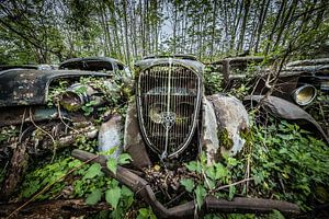 Old car between the trees