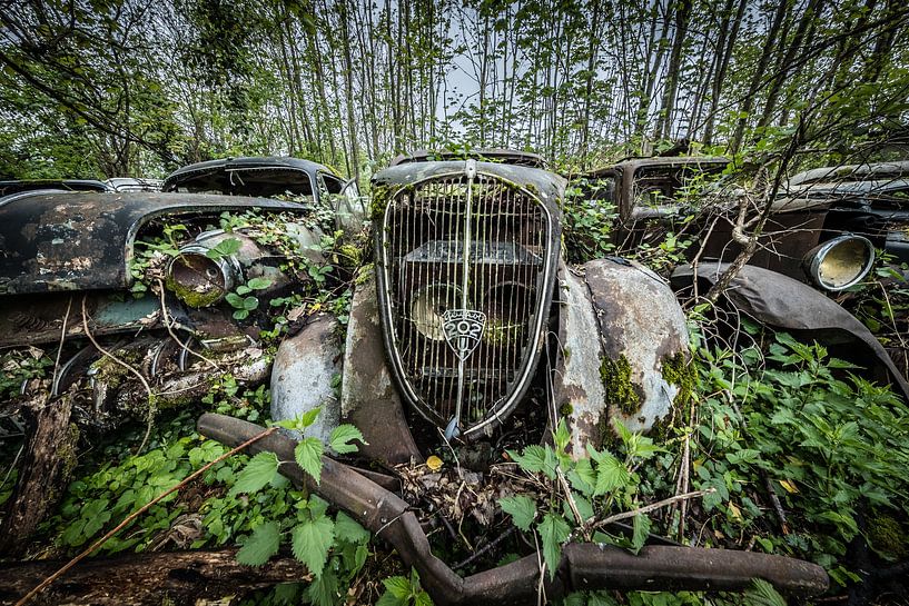 Oude auto tussen de bomen van Inge van den Brande