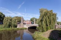 Brug over de Dommel ('s-Hertogenbosch)