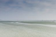 Ice sailors, IJsselmeer by Johanna Blankenstein thumbnail