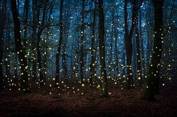 Forêt sombre avec des lucioles