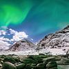 Polarlichter Aurora Borealis am Meer in Norwegen. von Voss Fine Art Fotografie