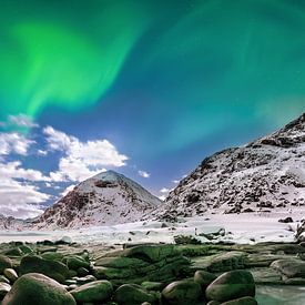 Polarlichter Aurora Borealis am Meer in Norwegen. von Voss Fine Art Fotografie
