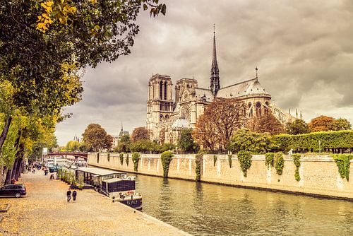 Paris Notre-Dame