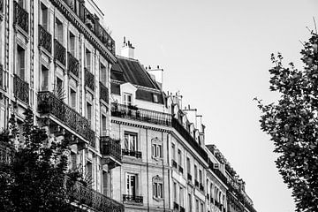 detailfoto van historische daken in Parijs van MICHEL WETTSTEIN