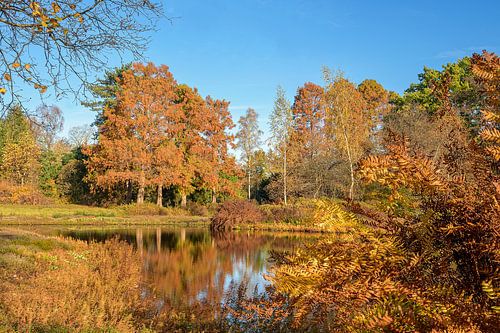 Herbst in Amstelveen