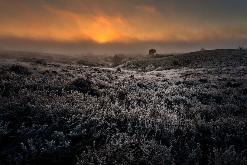 Duistere zonsopgang by Jeffrey Van Zandbeek
