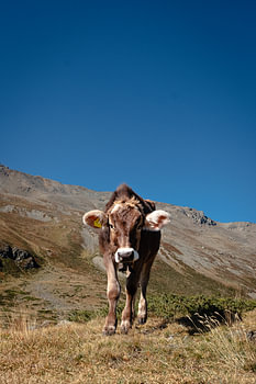 Voyage dans les Dolomites I | Un voyage dans les Dolomites, Italie