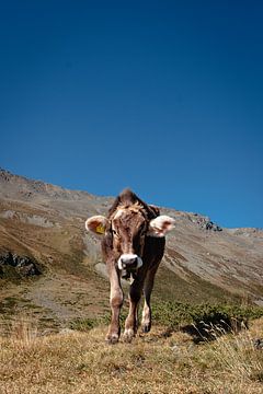 Reis mee naar de Dolomieten I | Een reis door de Dolomieten, Italië van Roos Maryne - Natuur fotografie
