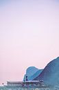 Fähre am Gardasee von Syo van Vliet Miniaturansicht