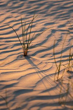Duingras en mooie golven in het zand von Karijn | Fine art Natuur en Reis Fotografie