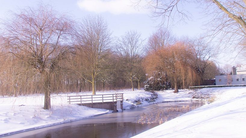 Winter Teich von Masselink Portfolio
