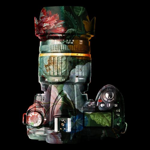 The Art of Photography