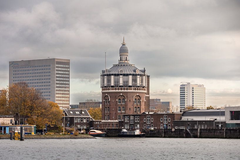 Watertoren de Esch en Erasmus universiteit in Rotterdam. van Janny Beimers