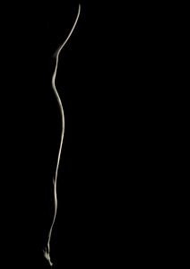 Silhouette d'un corps féminin sur Cynthia Hasenbos
