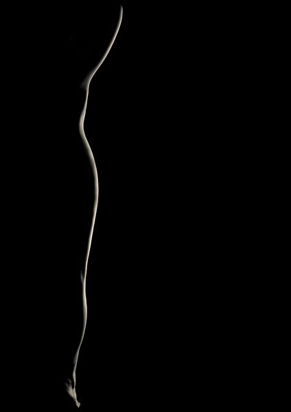 Silhouet van een vrouwenlichaam van Cynthia Hasenbos