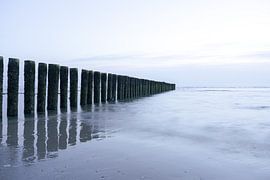 Beach poles in the North Sea by Laura Bosch