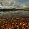 Dabelower See im Herbst in Mecklenburg von Wolfgang Unger