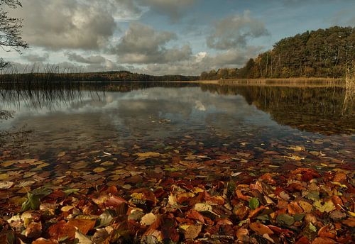 Lake Dabelow in autumn in Mecklenburg