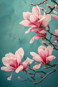 Magnolia diamanté crépusculaire