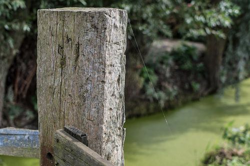 Houten Paal