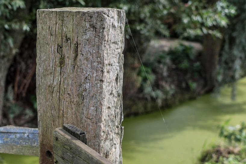 Houten Paal von Kees van der Rest