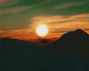 Airplane at sunset