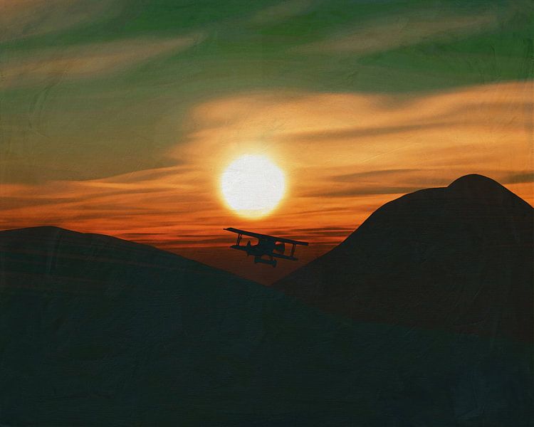 Avion au coucher du soleil par Jan Keteleer