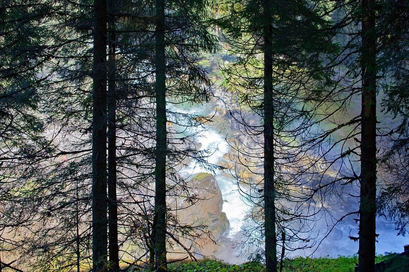 Cinq troncs d'arbres noirs par Christa Kramer