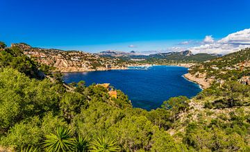 Port de Andratx, mooie haven, op het eiland Majorca, Spanje van Alex Winter