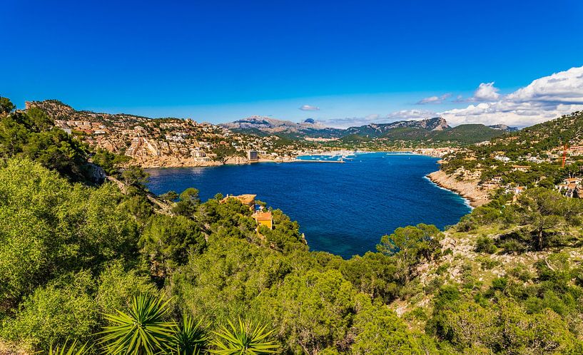 Port de Andratx, beautiful harbor, on Majorca island, Spain by Alex Winter